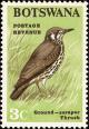 Colnect-597-707-Groundscraper-Thrush-Turdus-litsitsirupa.jpg