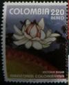 Colnect-2894-187-Victoria-regia.jpg