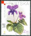 Colnect-5684-411-Sweet-Violet-Viola-odorata.jpg