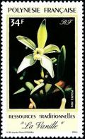 Colnect-3226-541-Vanilla-flower.jpg