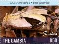 Colnect-3611-869-Gaboon-Viper-Bitis-gabonica.jpg