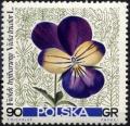 Colnect-4659-462-Viola-tricolor.jpg