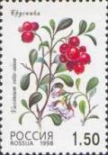 Colnect-526-372-Cowberry-Vaccinium-vitis-idaea.jpg