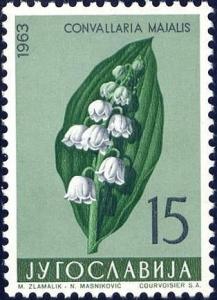 Colnect-4489-029-Lily-of-the-valley-Convallaria-majalis.jpg