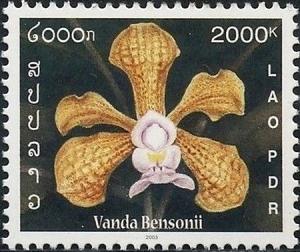 Colnect-2622-354-Vanda-bensonii.jpg