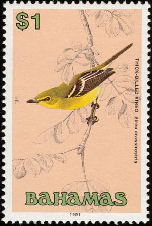 Colnect-576-830-Thick-billed-Vireo-Vireo-crassirostris.jpg