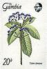 Colnect-2338-545-Vitex-Doniana.jpg