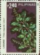 Colnect-2946-935-Vitex-negundo.jpg