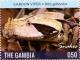 Colnect-3611-869-Gaboon-Viper-Bitis-gabonica.jpg