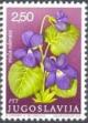 Colnect-700-465-Viola-odorata.jpg