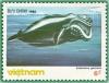 Colnect-1160-443-Black-right-whale-Eubalaena-glacialis.jpg