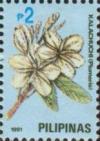 Colnect-2957-952-White-plumeria.jpg