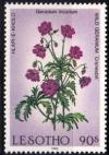 Colnect-3094-387-Wild-geranium.jpg