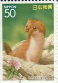 Colnect-1339-110-Siberian-Weasel-Mustela-sibirica.jpg