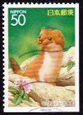 Colnect-5348-013-Siberian-Weasel-Mustela-sibirica.jpg