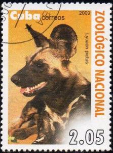 Colnect-1770-645-African-Wild-Dog-Lycaon-pictus.jpg