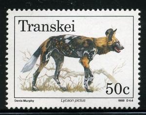 Colnect-1713-685-African-Wild-Dog-Lycaon-pictus.jpg