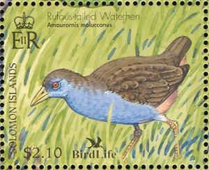 Colnect-3742-511-Rufous-tailed-Waterhen-Amaurornis-moluccan.jpg