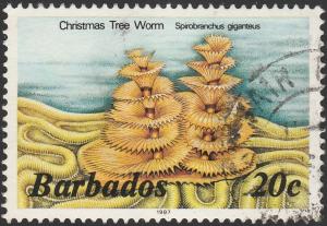 Colnect-4194-674-Christmas-Tree-Worm-Spirobranchus-giganteus.jpg