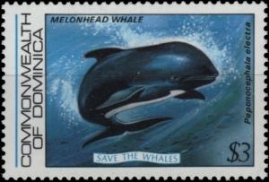 Colnect-5151-102-Melon-headed-Whale-Peponocephala-electra.jpg