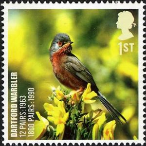 Colnect-521-210-Dartford-Warbler-Sylvia-undata.jpg