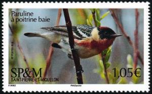 Colnect-5510-401-Bay-breasted-Warbler-Setophaga-castanea.jpg