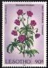 Colnect-3094-387-Wild-geranium.jpg