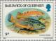 Colnect-125-900-Cuckoo-Wrasse-Labrus-mixtus.jpg