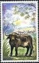 Colnect-2490-243-Domestic-Asian-Water-Buffalo-Bubalus-bubalis.jpg