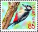 Colnect-4959-326-Great-Spotted-Woodpecker-Dendrocopos-major.jpg