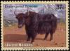 Colnect-2573-002-Yak-Bos-mutus.jpg