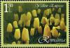 Colnect-5706-156-Yellow-Empress.jpg