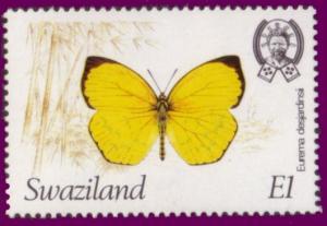 Colnect-1706-375-Angled-Grass-Yellow-Eurema-desjardinsii.jpg