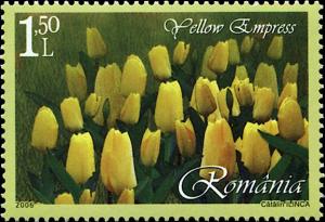 Colnect-5706-156-Yellow-Empress.jpg