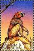 Colnect-4127-040-Yellow-baboon.jpg