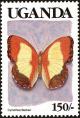 Colnect-4282-016-Becker-s-Creamy-Yellow-Glider-Cymothoe-beckeri.jpg