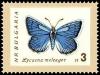 Colnect-1103-197-Meleager--s-Blue-Lycaena-daphnis.jpg