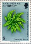 Colnect-125-644-Guernsey-Ferns---Asplenophyllitis-microdon.jpg