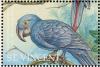 Colnect-1755-598-Hyacinth-Macaw%C2%A0Anodorhynchus-hyacinthinus%C2%A0.jpg