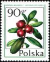 Colnect-1998-525-Cranberry----Vaccinium-vitis-idaea.jpg