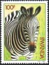 Colnect-2631-968-Plains-Zebra-Equus-burchelli.jpg