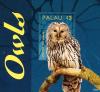 Colnect-3669-274-Ural-Owl%C2%A0%C2%A0%C2%A0%C2%A0Strix-uralensis.jpg