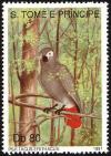 Colnect-3684-181-Grey-Parrot%C2%A0%C2%A0%C2%A0%C2%A0Psittacus-erithacus.jpg