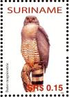 Colnect-3837-054-Roadside-Hawk%C2%A0%C2%A0%C2%A0%C2%A0Rupornis-magnirostris.jpg