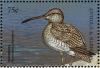 Colnect-4198-425-Whimbrel%C2%A0%C2%A0%C2%A0%C2%A0Numenius-phaeopus.jpg