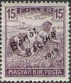 Colnect-940-974-Overprint--B%C3%A1n%C3%A1t-B%C3%A1cska-1919-.jpg