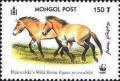 Colnect-1290-133-Przewalski%E2%80%99s-Horse-Equus-przewalskii.jpg