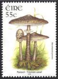 Colnect-1325-636-Parasol---Macrolepiota-procera.jpg