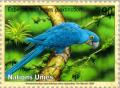 Colnect-138-661-Hyacinth-Macaw%C2%A0Anodorhynchus-hyacinthinus.jpg