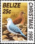 Colnect-4025-600-Blue-Ground-Dove-nbsp--nbsp--nbsp--nbsp-Claravis-pretiosa.jpg